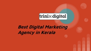 Best Digital Marketing Agency in Kerala