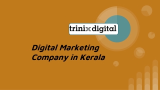 Digital Marketing Company in Kerala