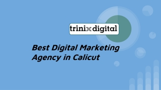 Best Digital Marketing Agency in Calicut