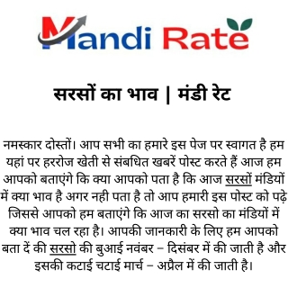 सरसों का भाव  मंडी रेट