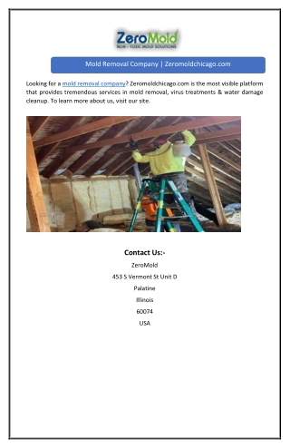 Mold Removal Company | Zeromoldchicago.com