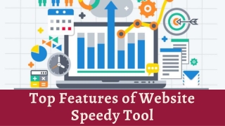 Top Features of Website Speedy Tool