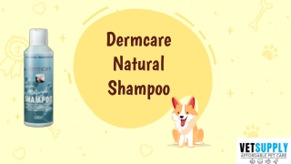Dermcare Natural Shampoo for Dogs (250 ml, 500 ml, 1 litre, 5 litres)