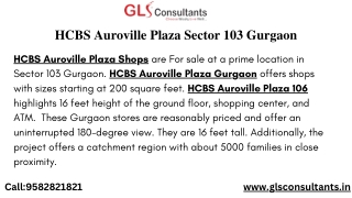 HCBS Auroville Plaza Shops