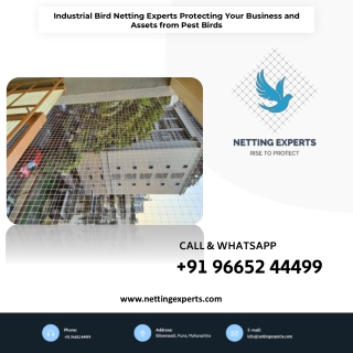 Industrial Bird Netting Experts: Protecting Your Business and Assets from Pest