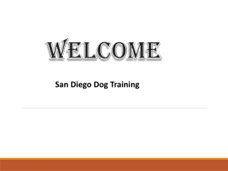 San Diego Dog Training
