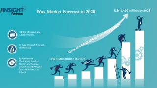 Wax Market Strategic Initiatives, Product Portfolio & Company Overview