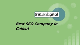 Best SEO Company in Calicut