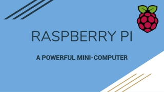 A POWERFUL MINI-COMPUTER 'RASPBERRY PI'