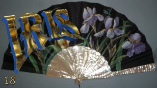 Iris, the spring jewel18