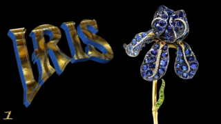 Iris, the spring jewel1