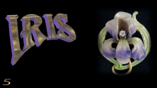 Iris, the spring jewel5