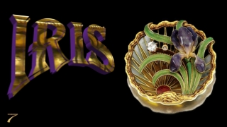 Iris, the spring jewel7