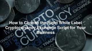 How to Choose the Right White Label Cryptocurrency Exchange Script for Your Business