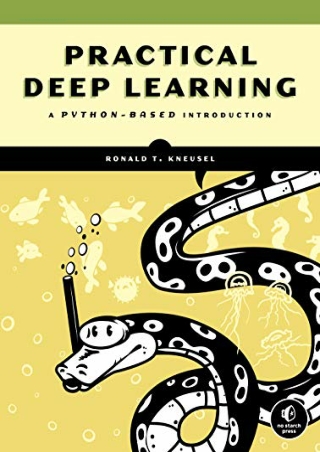 $PDF$/READ/DOWNLOAD Practical Deep Learning: A Python-Based Introduction