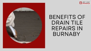 Benefits of Drain Tile Repairs in Burnaby