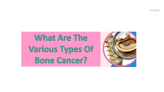 Types of Bone Cancer