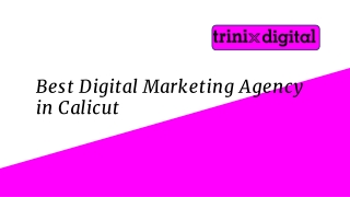 Best Digital Marketing Agency in Calicut