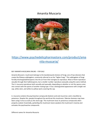Amanita Muscaria