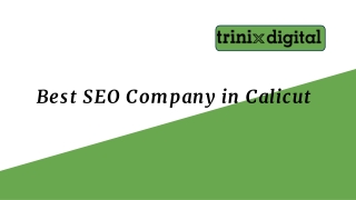 Top SEO Company in Calicut | Trinix Digital