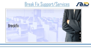 Break Fix Support
