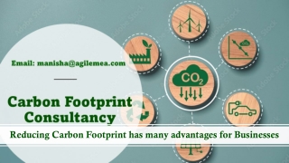 Reducing Carbon Footprints has many advantages for Businesses