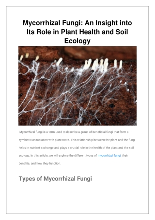 Mycorrhizal Fungi An Insight into Its Role in Plant Health and Soil Ecology