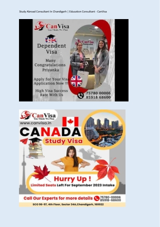 Study Abroad Consultant In Chandigarh