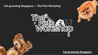 Cat grooming Singapore — The Pets Workshop