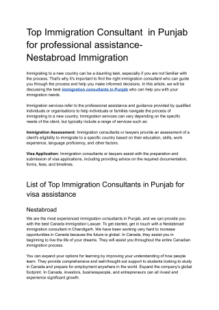 Top Immigration Consultant  in Punjab for professional assistance- Nestabroad Immigration