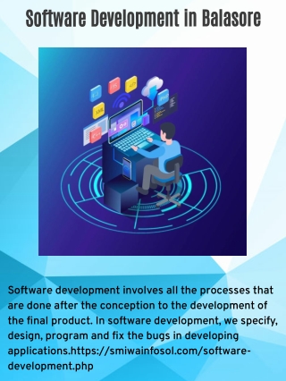 Software company in Balasore