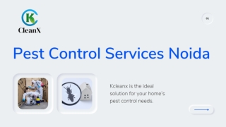 Pest Control Services Noida- Kcleanx