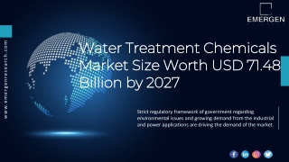 Water Treatment Chemicals Market