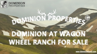 Texas Hunting Land For Sale | Dominion Lands