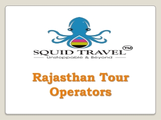 Rajasthan Tour Operators