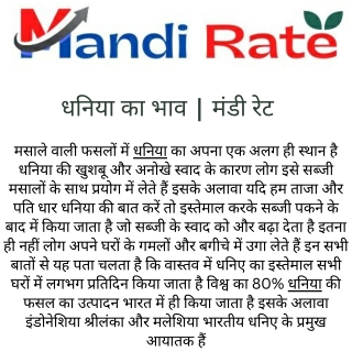 धनिया का भाव  मंडी रेट