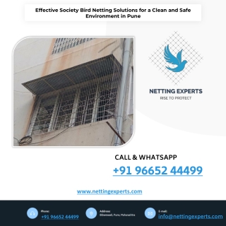 Effective Society Bird Netting Solutions for a Clean and Safe Environment in Pun