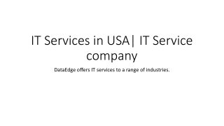 Software development services company | IT services | USA