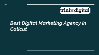 Best Digital Marketing Agency in Calicut