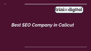 Best SEO Company in Calicut  Trinix Digital