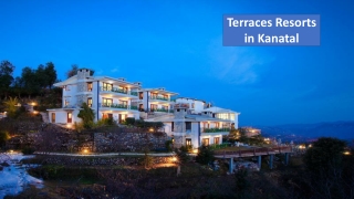 Corporate Outing Near Delhi | The Terraces Kanatal