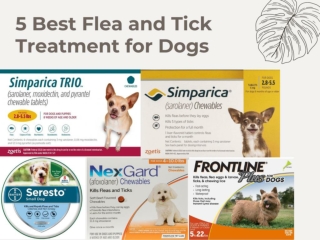 Best 5 Flea and Tick Treatment for Dogs