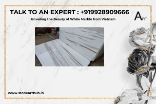 Unveiling the Beauty of White Marble from Vietnam