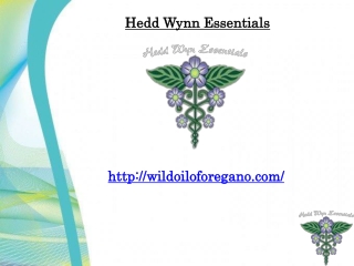 Wild Oregano Oil