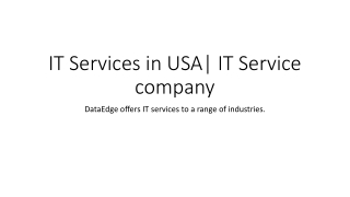 IT services company | software development company | USA