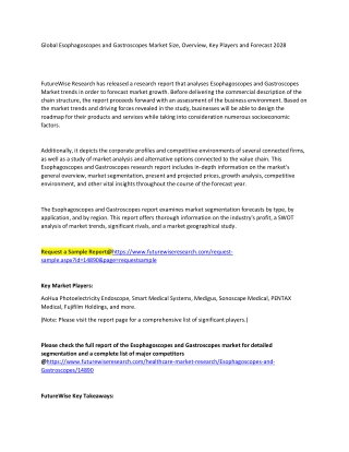 Esophagoscopes and Gastroscopes Market