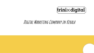 Digital Marketing Company in Kerala