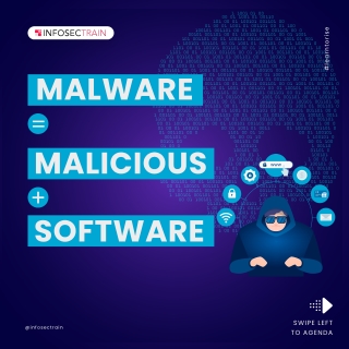 What is a Malware