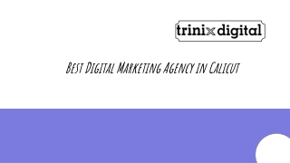 Best Digital Marketing Agency in Calicut