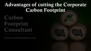 Advantages of cutting the Corporate Carbon Footprint